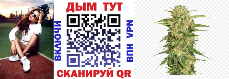 продажа наркотиков  Сретенск  Бошки Шишки MAZAR 